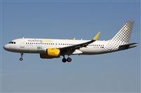 Alfonso Sols - Asociacin Canary Islands Spotting. Click to see full size photo
