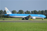 Miguel A. gueda Rguez.  (CANARY ISLANDS SPOTTING). Click to see full size photo