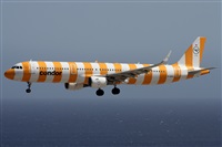 ©Alfonso Solís - Asociación Canary Islands Spotting. Click to see full size photo ©Alfonso Solís - Asociación Canary Islands Spotting. Click to see full size photo