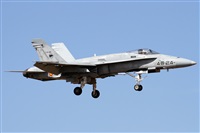 Alfonso Sols - Asociacin Canary Islands Spotting. Click to see full size photo