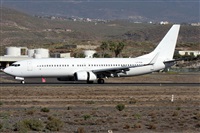 ©Alfonso Solís - Asociación Canary Islands Spotting. Click to see full size photo ©Alfonso Solís - Asociación Canary Islands Spotting. Click to see full size photo
