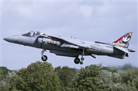 Florencio Martn Melin - Lanzarote Spotters. Click to see full size photo