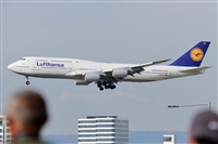 Miguel A. gueda Rguez.  (CANARY ISLANDS SPOTTING). Click to see full size photo