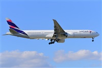 Miguel A. gueda Rguez.  (CANARY ISLANDS SPOTTING). Click to see full size photo