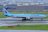 Miguel A. gueda Rguez.  (CANARY ISLANDS SPOTTING). Click to see full size photo