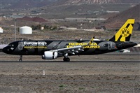 ©Alfonso Solís - Asociación Canary Islands Spotting. Click to see full size photo ©Alfonso Solís - Asociación Canary Islands Spotting. Click to see full size photo