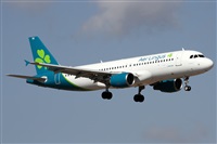 ©Alfonso Solís - Asociación Canary Islands Spotting. Click to see full size photo ©Alfonso Solís - Asociación Canary Islands Spotting. Click to see full size photo