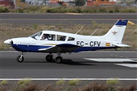 Alfonso Sols - Asociacin Canary Islands Spotting. Click to see full size photo