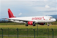 Diogo da Conceio. Click to see full size photo