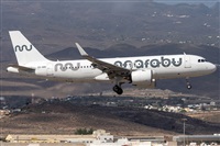 ©Adolfo Bento - Gran Canaria Spotters. Click to see full size photo ©Adolfo Bento - Gran Canaria Spotters. Click to see full size photo