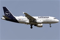 ©Román A. Pérez. Click to see full size photo ©Román A. Pérez. Click to see full size photo