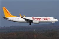 Daniel Schwinn. Click to see full size photo