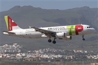�Adolfo Bento - Gran Canaria Spotters. Click to see full size photo