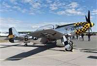 �Rod Dermo. Click to see full size photo