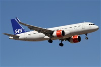 �Alfonso Sol�s - Asociaci�n Canary Islands Spotting. Click to see full size photo