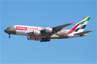 �Sergio Cambronero - Asociaci�n AIRE. Click to see full size photo