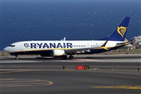 �Alfonso Sol�s - Asociaci�n Canary Islands Spotting. Click to see full size photo