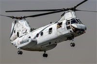 �Manuel Acosta Zapata LMDT Spotters. Click to see full size photo