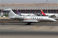 ©Alfonso Solís - Asociación Canary Islands Spotting. Click to see full size photo ©Alfonso Solís - Asociación Canary Islands Spotting. Click to see full size photo