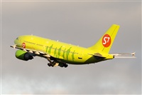 Javier de la Cruz - CANARY ISLANDS SPOTTING. Haz click para ampliar