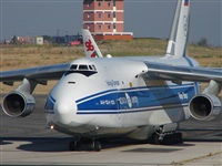 Carlos Moreira  *  PortugalSpotters.org. Click to see full size photo