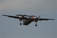 Jos Miguel Bernases - Noisy Spotters. Click to see full size photo