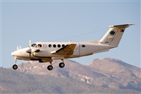 Javier de la Cruz - CANARY ISLANDS SPOTTING. Click to see full size photo