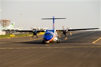 Javier de la Cruz - CANARY ISLANDS SPOTTING. Click to see full size photo