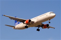 Javier de la Cruz - CANARY ISLANDS SPOTTING. Click to see full size photo