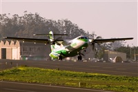 Javier de la Cruz - CANARY ISLANDS SPOTTING. Click to see full size photo