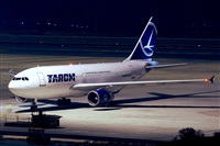 Miguel A. gueda Rguez.  (CANARY ISLANDS SPOTTING). Click to see full size photo