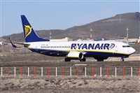 Alfonso Sols - Asociacin Canary Islands Spotting. Haz click para ampliar