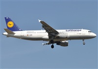 Rubn Gil - Noisy Spotters. Click to see full size photo