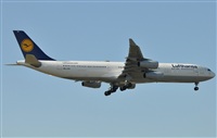 Rubn Gil - Noisy Spotters. Click to see full size photo