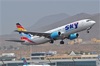 Miguel A. gueda Rguez.  (CANARY ISLANDS SPOTTING). Haz click para ampliar