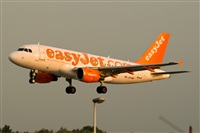 Javier de la Cruz - CANARY ISLANDS SPOTTING. Click to see full size photo