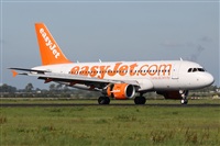 Alfonso Sols - Asociacin Canary Islands Spotting. Click to see full size photo