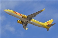 Miguel A. gueda Rguez.  (CANARY ISLANDS SPOTTING). Click to see full size photo