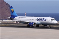 ©Alfonso Solís - Asociación Canary Islands Spotting. Click to see full size photo ©Alfonso Solís - Asociación Canary Islands Spotting. Click to see full size photo