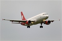 Javier de la Cruz - CANARY ISLANDS SPOTTING. Click to see full size photo