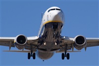 Saimon J Rodriguez   -   Canary Islands Spotting. Click to see full size photo