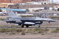 Alfonso Sols - Asociacin Canary Islands Spotting. Haz click para ampliar