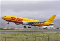Miguel A. gueda Rguez.  (CANARY ISLANDS SPOTTING). Click to see full size photo