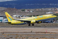 Miguel A. gueda Rguez.  (CANARY ISLANDS SPOTTING). Click to see full size photo