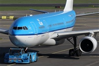 Rubn Gil - Noisy Spotters. Click to see full size photo