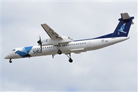Adolfo Bento - Gran Canaria Spotters. Click to see full size photo