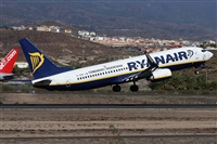 ©Alfonso Solís - Asociación Canary Islands Spotting. Click to see full size photo ©Alfonso Solís - Asociación Canary Islands Spotting. Click to see full size photo