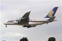 Miguel A. gueda Rguez.  (CANARY ISLANDS SPOTTING). Click to see full size photo