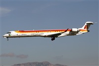©Javier Rodríguez. Click to see full size photo ©Javier Rodríguez. Click to see full size photo