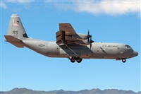 Bartolom Fernndez - Gran Canaria Spotters. Click to see full size photo